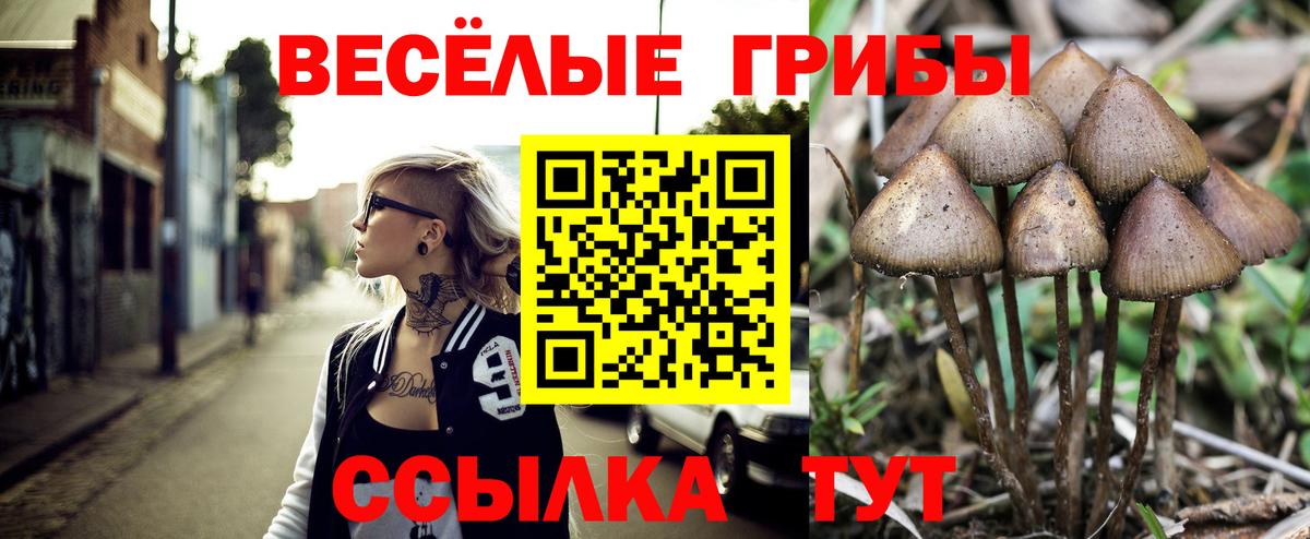Псилоцибиновые грибы Magic Shrooms Усинск